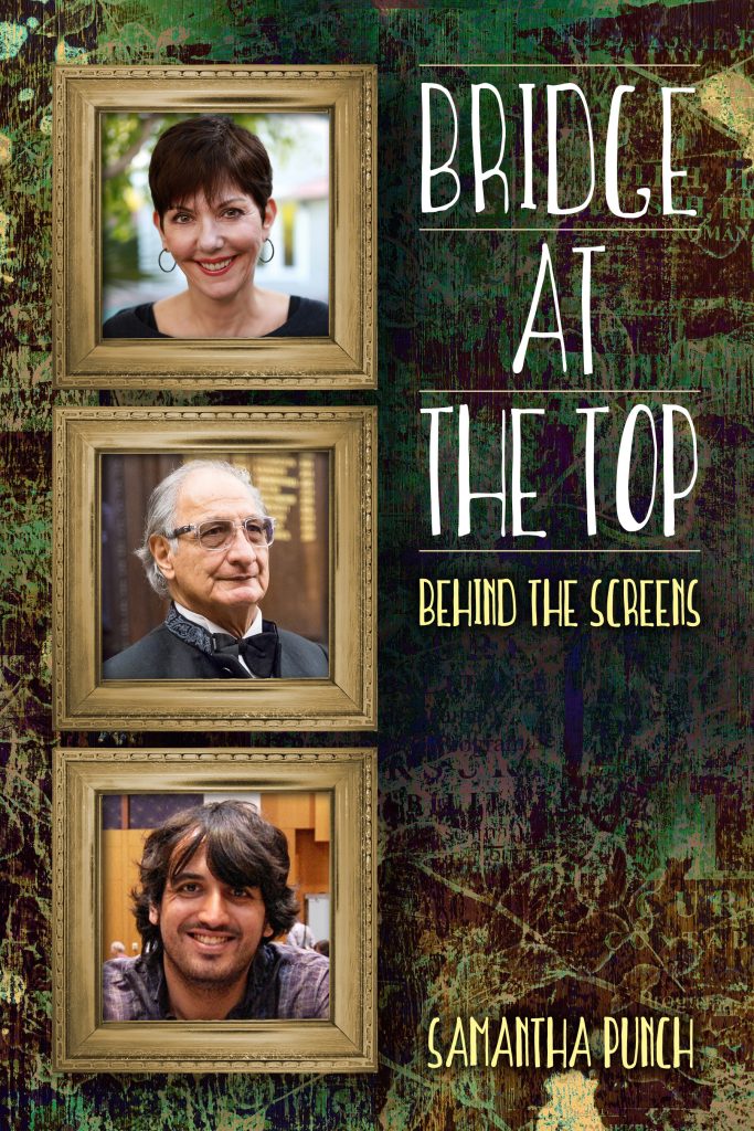 Bridge at the Top front cover